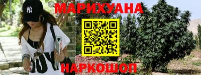 jwh Нальчик