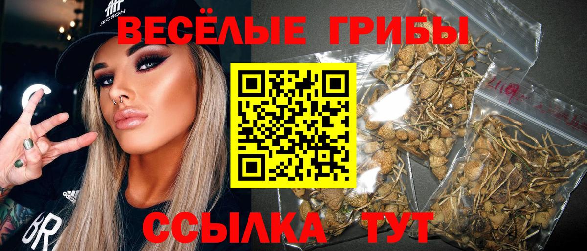 Тольятти  Галлюциногенные грибы мухоморы  Вход с VPN  где купить наркоту  Галлюциногенные грибы ЛСД 