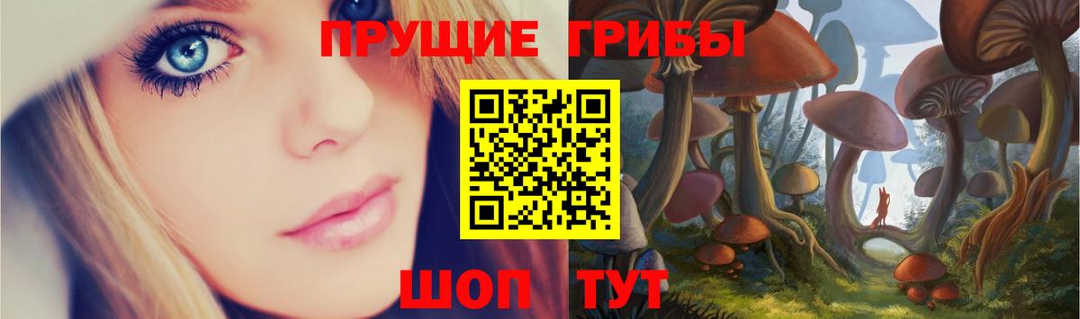 Галлюциногенные грибы GOLDEN TEACHER Тольятти